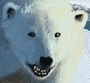 sierracoop's Avatar