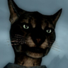Takeda's Avatar